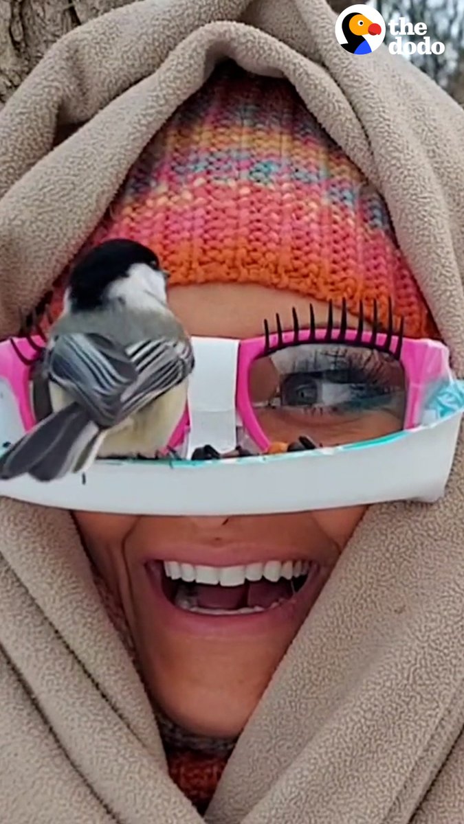 Woman disguises herself as a bird feeder to "catch" birds on her face, but can she get a cardinal? 🐦