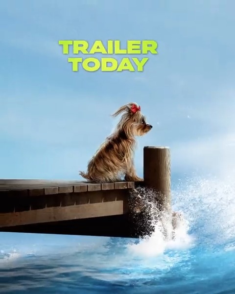 Bon appetit. Trailer today. #Meg2