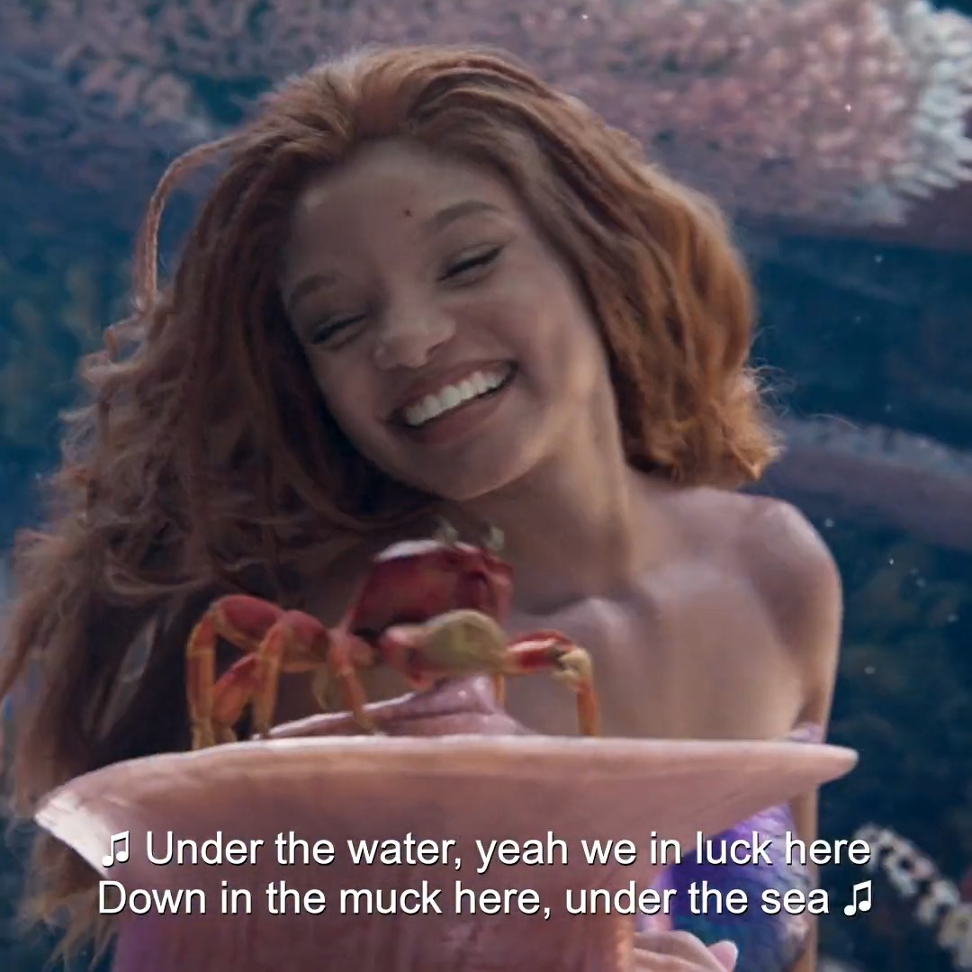 On May 26 go under the sea with Ariel, Sebastian, Scuttle and Flounder in Disney's #TheLittleMermaid. 🫧🐚🪸🌊