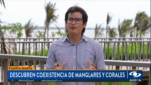 Científicos de parques nacionales y docentes de la Universidad Simón Bolívar, en Barranquilla, descubrieron la coexistencia entre los corales y los manglares en una de las playas del Parque Tayrona. Más en