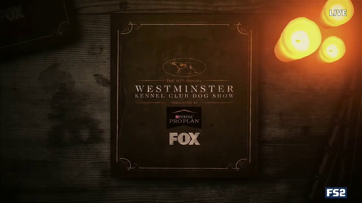 Curious about the history of the #WestminsterDogShow? We'll tell you the tail of one of the longest-standing traditions in American sports! 😉🐕