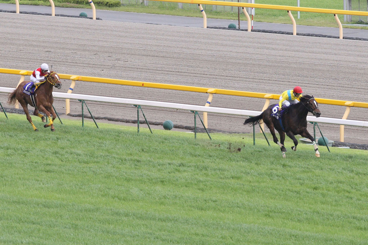 "Raise your glass, raise your cameras for a shot of Vodka!" - Murray Johnson Has there ever been a queen of Tokyo quite like the mighty VODKA? 👑 She won the G1 Victoria Mile in 2009! 👇 #ウオッカ #ヴィクトリアマイル #競馬