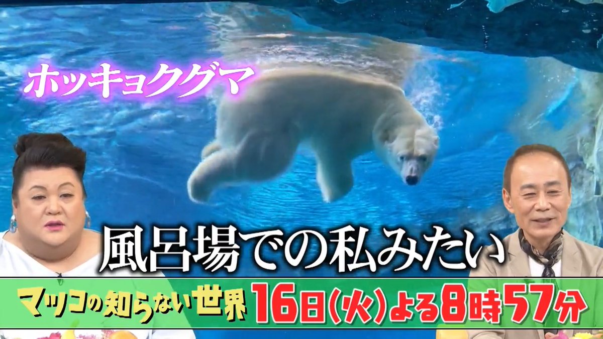 ご視聴ありがとうございました‼️ 次回は👤 🐠\水族館＆ジャッキー・チェンの世界/💨 #この夏行きたい #大人も楽しめる水族館 #ストップ若者のジャッキー離れ #超絶アクション名シーン連発