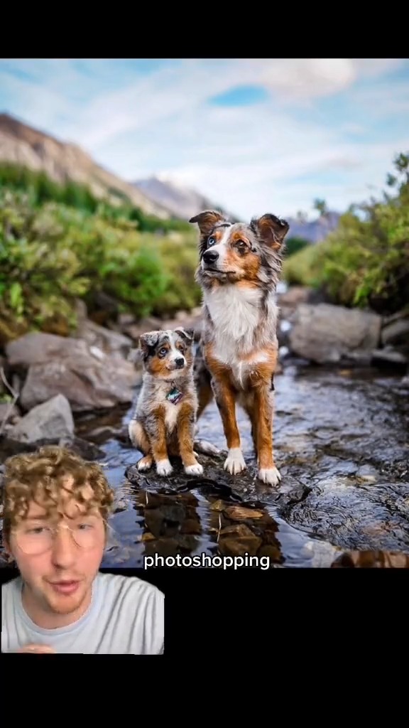 This artist photoshops pictures of people's dogs as puppies and adults into a single image. 14/10 (IG: seeingdoubleedits)