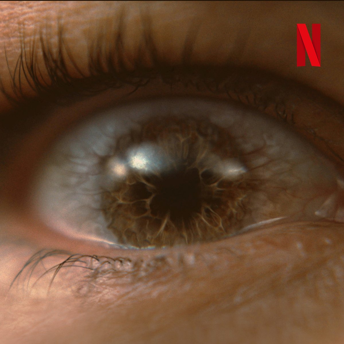 🚨FILMES: Netflix anuncia o lançamento de um novo filme do universo “Bird Box” que se chamará “Bird Box Barcelona” que tem a sua estreia marcada para 14 de julho.
