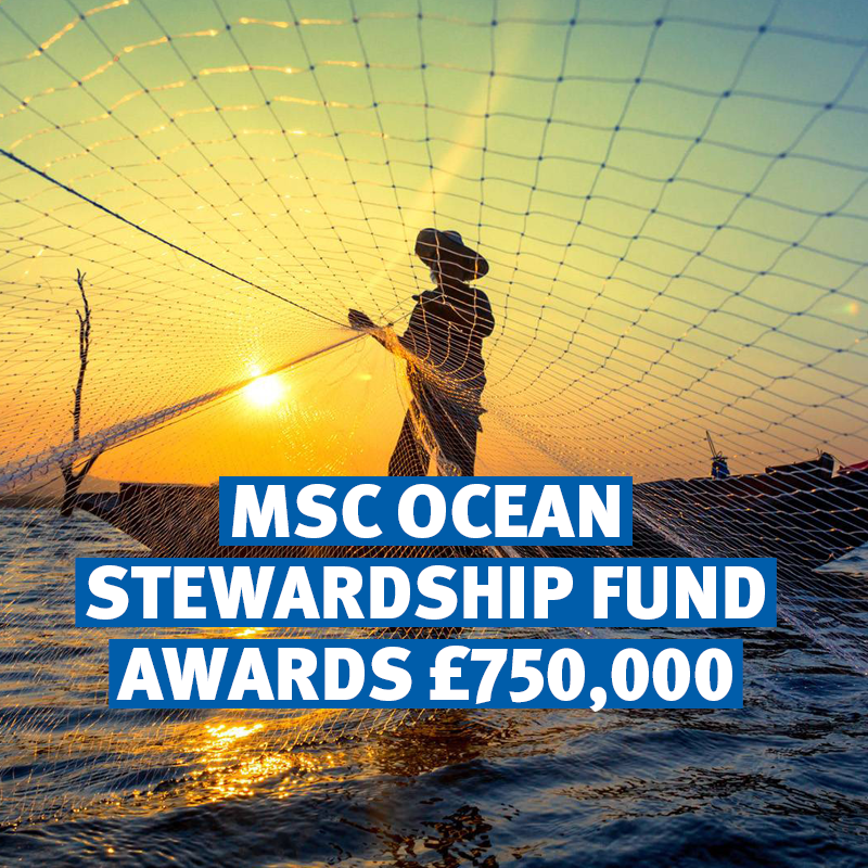 🔎🙌 Good news! We’ve announced this year’s #OceanStewardshipFund projects and awarded over £750,000! 26 different grants were awarded across 15 countries and of these projects over a 1/4 will research bycatch reduction. 🔗 More on this year’s projects: