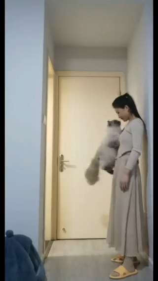 I can watch this all day #meowed #TheMeowedClub