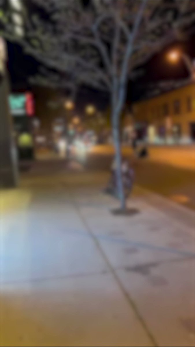A man started whipping a live snake at another person during wild street fight in Toronto - 📹 Submitted to blogTO