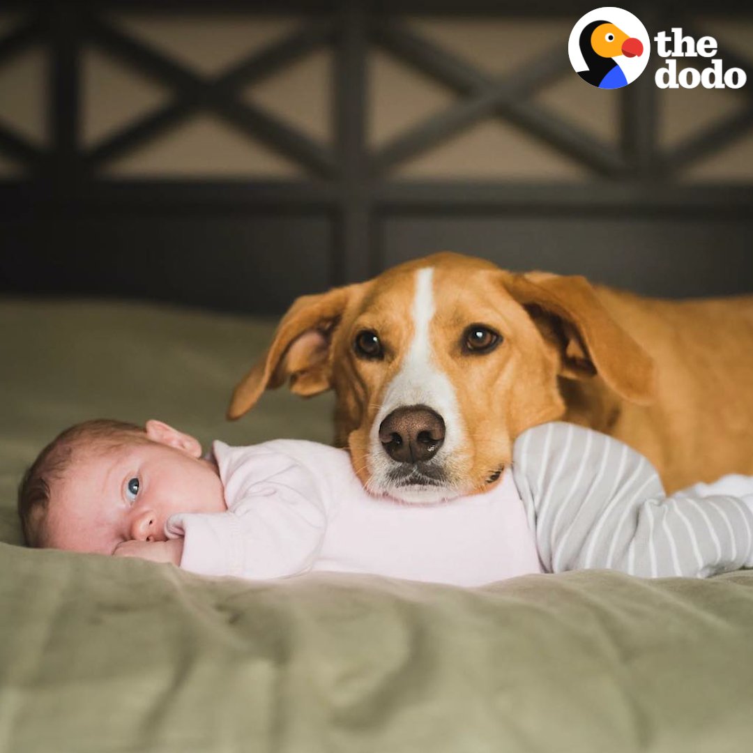 This dog takes care of his human sister all by himself...(almost) 😉😍