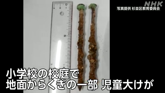 杉並区教育委員会によりますと、区立荻窪小学校の校庭で体育の授業中に児童が転倒した際、地面からくぎの一部が突き出ていて、左ひざを切る大けがをしました。 業者に依頼して金属探知機で調べたところ、合わせて544本のくぎやフックが見つかりました。 #nhk_video