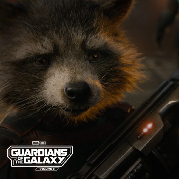 No longer 89P13, it's #RocketRaccoon