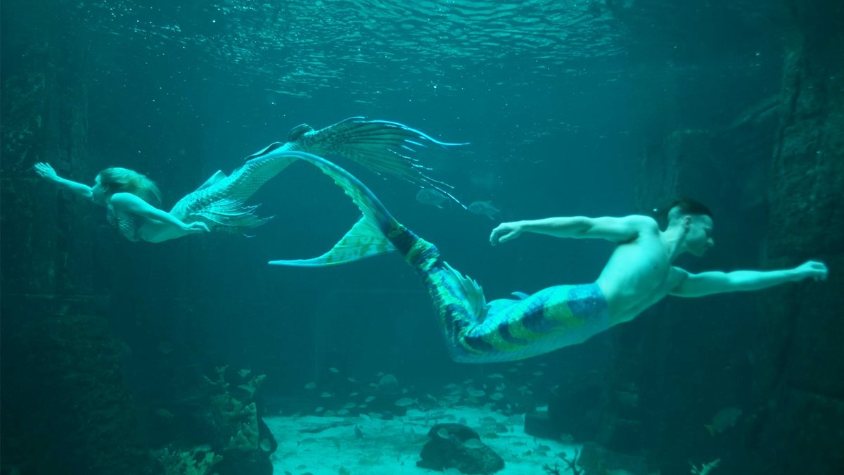 Take a deep dive into the half-billon dollar industry of MerPeople, an all new documentary series premiering May 23.