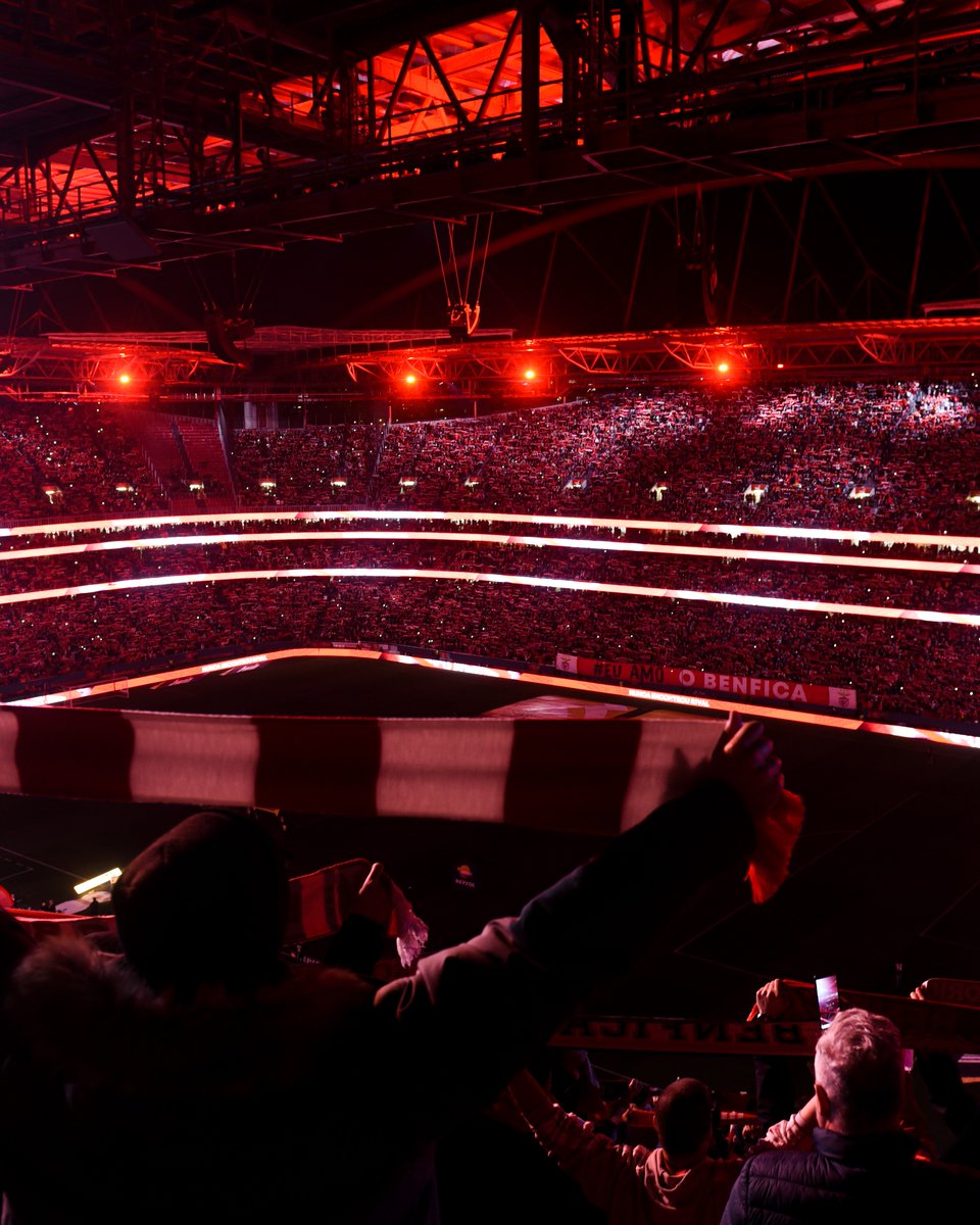 𝐃𝐢𝐚 𝐈𝐧𝐭𝐞𝐫𝐧𝐚𝐜𝐢𝐨𝐧𝐚𝐥 𝐝𝐚 𝐋𝐮𝐳 🏟️❤️ #EuAmoOBenfica