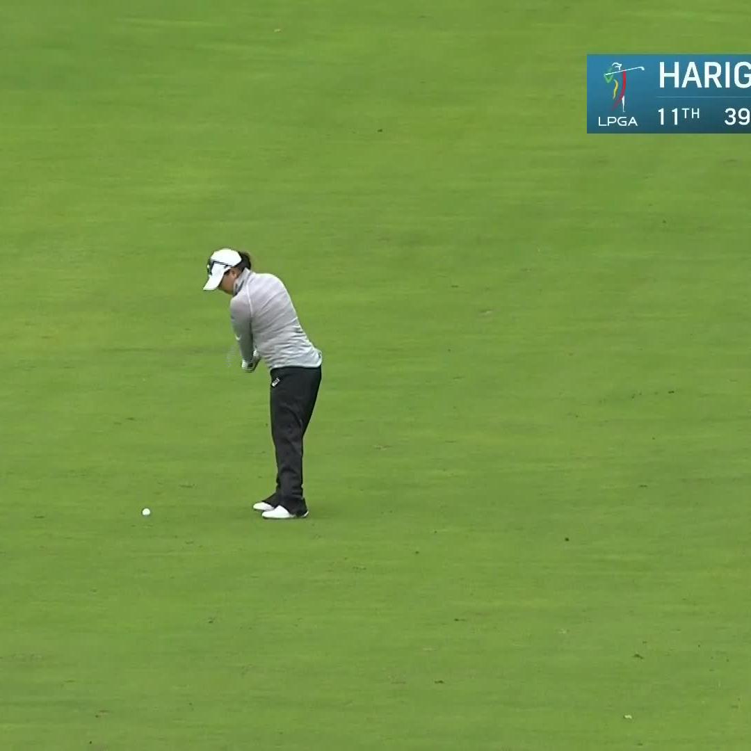 Can you even believe this shot by Mina Harigae? 🤯 #LPGALookback