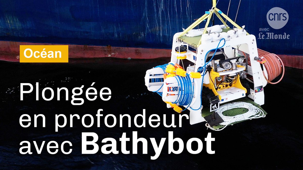 Plus d’un an après sa mise à l’eau, BathyBot - Deep Sea crawler to see the unseen vient de s’éveiller au fond de la mer Méditerranée. Plongez aux côtés de ce robot téléopéré depuis la surface, le premier à être installé de façon permanente à 2400 mètres de profondeur. ➡ #CNRSocéan 🌊