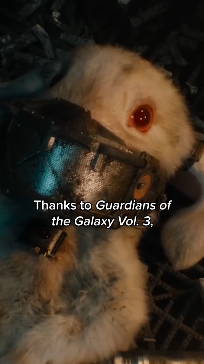Real animals imprisoned in laboratories are actually suffering, just like Rocket and the other animals in #GuardiansOfTheGalaxyVol3 But you can help them.