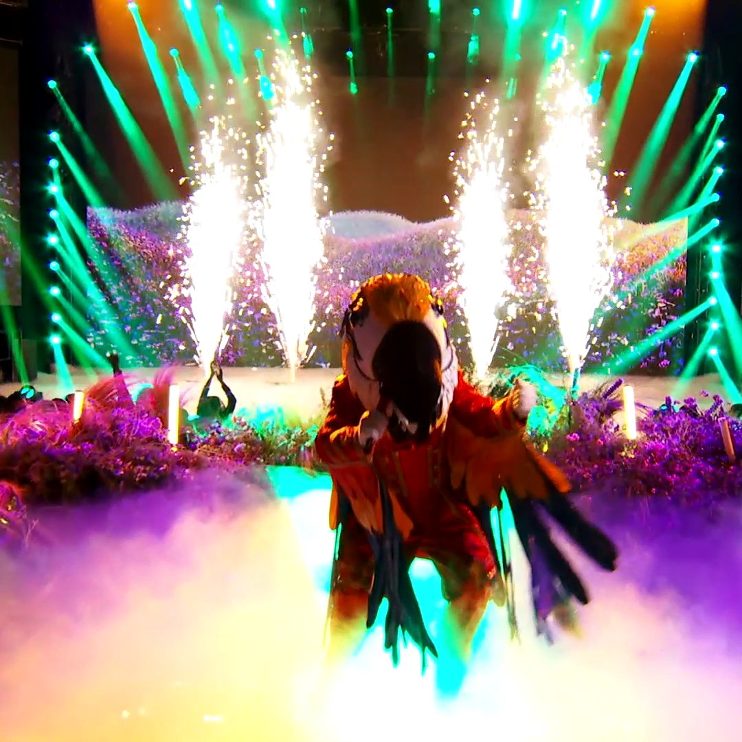 That was Mac-awe-inspiring! You brought tears to our eyes, #MacawMask 🥹 #TheMaskedSinger