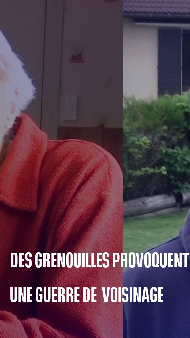 💬 "Je suis veuve, je suis vieille, les grenouilles c'est ma distraction" 🐸 Des grenouilles provoquent un conflit de voisinage en Savoie