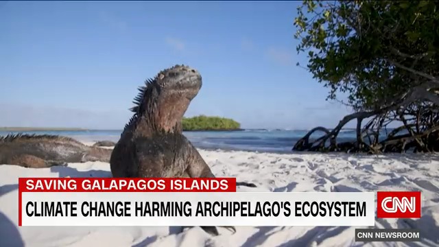 Endangered species on Ecuador's Galapagos Islands are being threatened by climate change. The country is trying a "debt-for-nature" deal to fund conservation efforts.