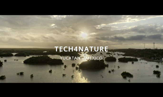 Conoce este proyecto insignia de #Tech4Nature en la Reserva Estatal de Dzilam de #México. Un equipo de expertos con #Huawei Cloud e #IA, pudo identificar múltiples jaguares🐆, obteniendo información sobre la preservación de la biodiversidad de #Yucatán. #TechForHabitats #TECH4ALL