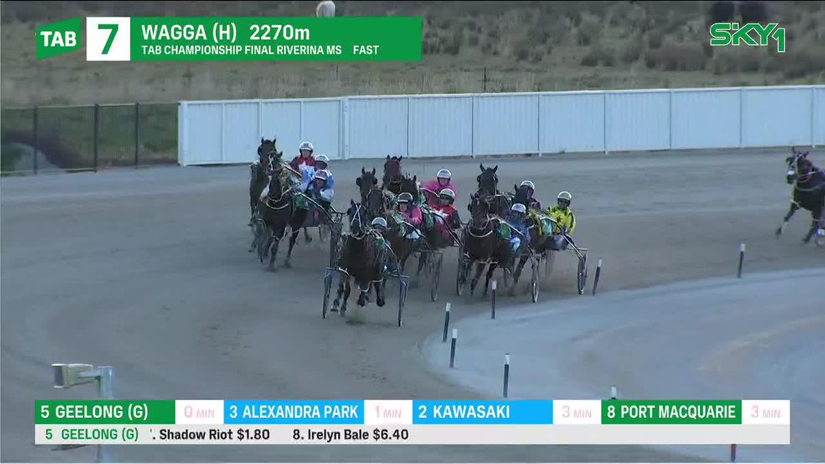 A huge win from the favourite Brooklyn Bridge in the Riverina Final of the TAB Regional Championships.