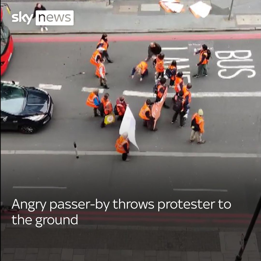 This is the moment a Just Stop Oil activist was thrown to the ground by a passer-by during a protest in London