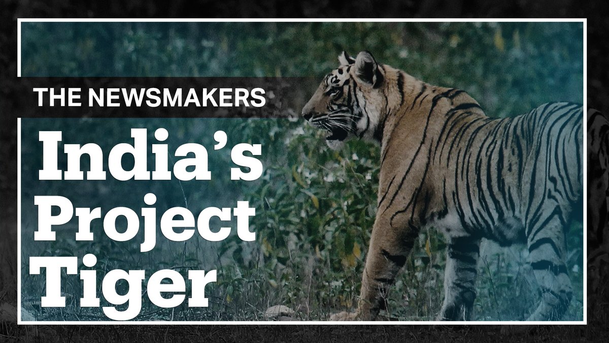 Editor at the Down To Earth Rajat Ghai says the current conservation approach in post-independent India has predominantly focused on fortress conservation, disregarding the rights of indigenous and forest dwelling communities.#IndiaTiger Full episode: