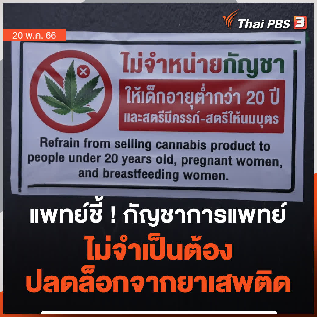มุมมองจากแพทย์ศูนย์พิษวิทยา คณะแพทยศาสตร์ โรงพยาบาลรามาธิบดี ระบุว่า หากจะใช้ #กัญชาทางการแพทย์ ก็ไม่ควรมีร้านกัญชาเสรีนันทนาการอยู่ใกล้โรงเรียน และไม่จำเป็นต้องนำออกจากบัญชียาเสพติด 📱 ติดตามข่าวสำคัญกับ #ThaiPBS ได้ที่ #ชั่วโมงข่าวเสาร์อาทิตย์