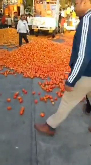 Nashik farmers dump their entire tomato produce on the road as it is fetching only Rs 1.5 per kg. But they have dumped it at the wrong place. They should have dumped it in front of the homes of all those politicians, activists and journalists who conspired to block farm reforms.