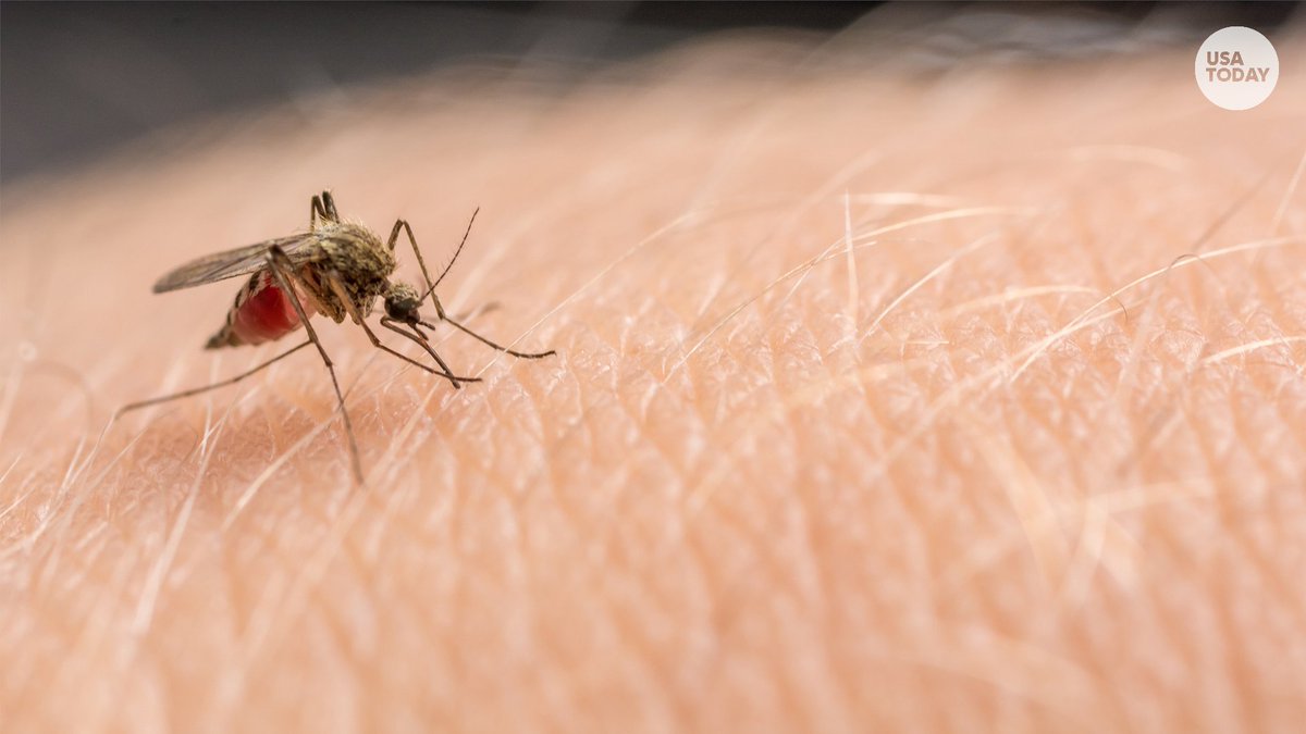 Do you like the scent of your soap? Mosquitos might like it too. New research shows which varieties are more and less attractive.