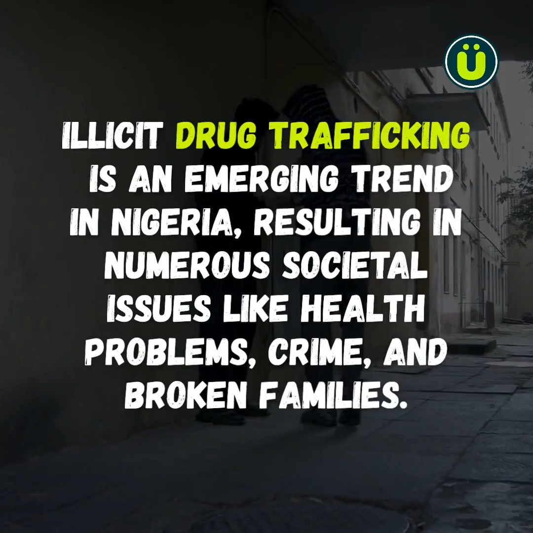 The Rise of Drug Barons in Nigeria: An Inside Look