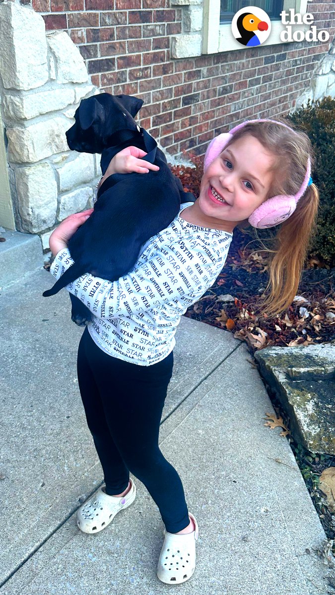 Little girl cries tears of joy when she sees a puppy online whose "hand" looks just like hers — so her parents secretly adopt him ❤️