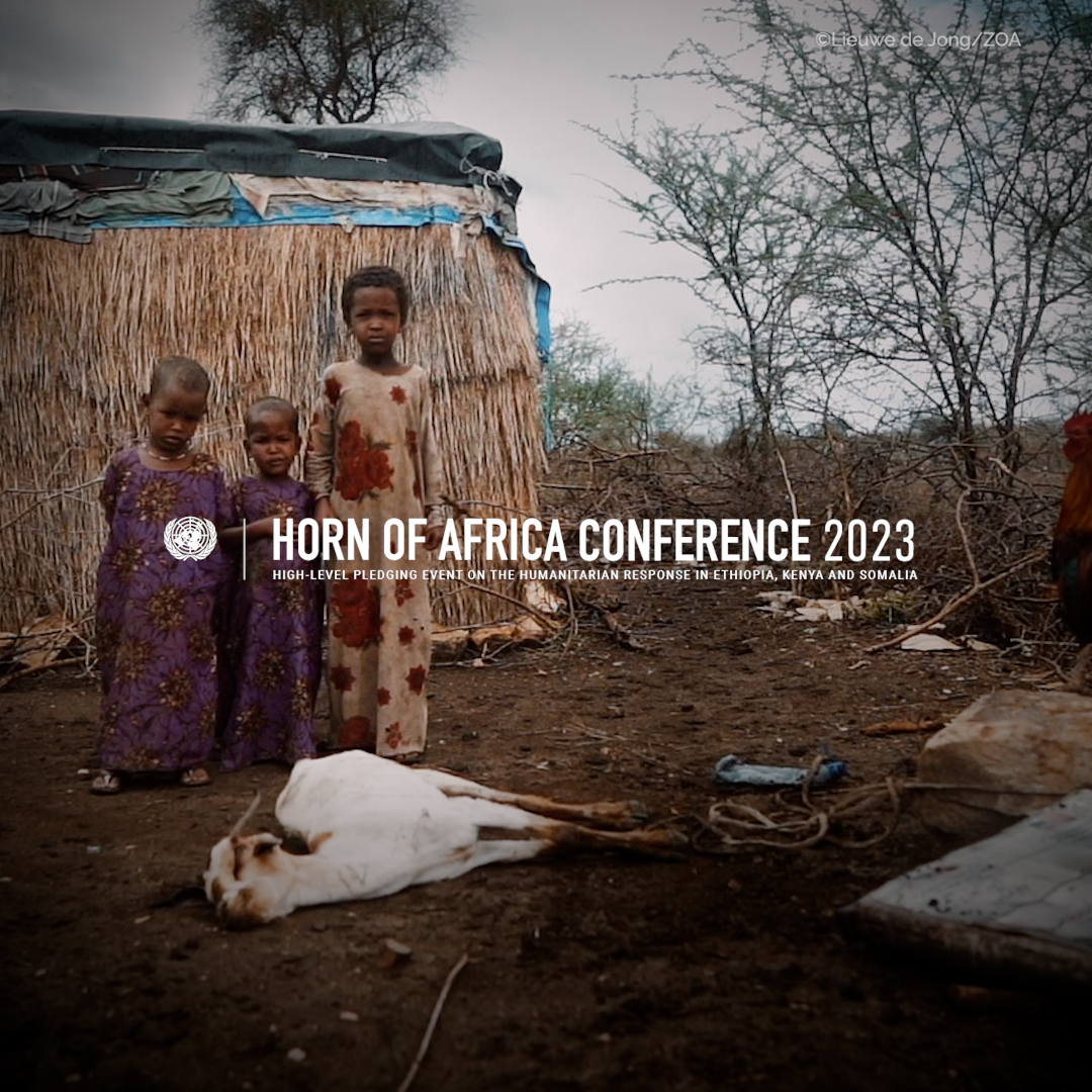 The humanitarian emergency in the #HornOfAfrica is not over. Already weakened communities face yet another year of severe hardship. With your support, we can help them.