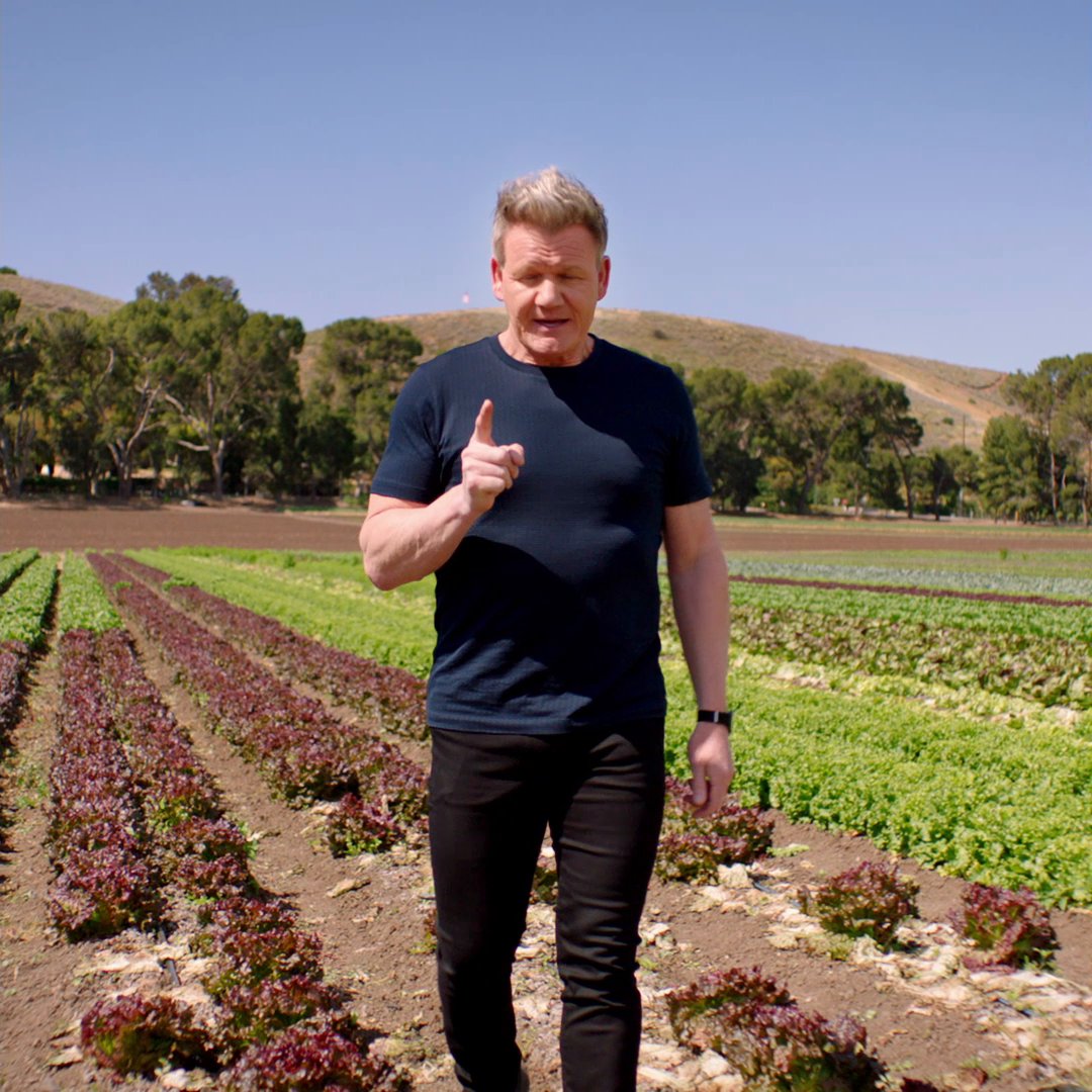 Get to know a whole new side of Gordon Ramsay. Who will he invest $250,000 to be his next Food Star? Find out tonight at 9/8c on FOX 🌟 #FoodStars