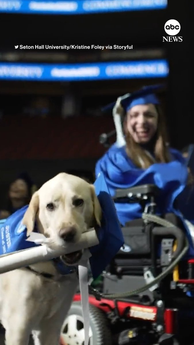 A service dog named Justin was presented with a diploma as his owner, Grace Mariani, graduated from Seton Hall University this week. Congrats to both!