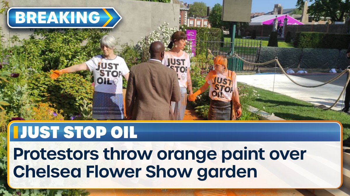 BREAKING: Three Just Stop Oil activists have thrown orange paint over the RBC Brewin Dolphin Garden at the Chelsea Flower Show.