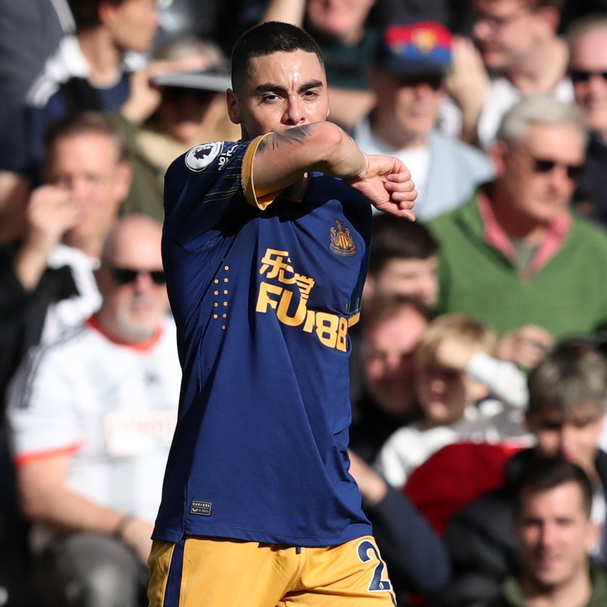 Newcastle United’s Goals of the Season, a thread: Miguel Almiron vs Fulham #NUFC
