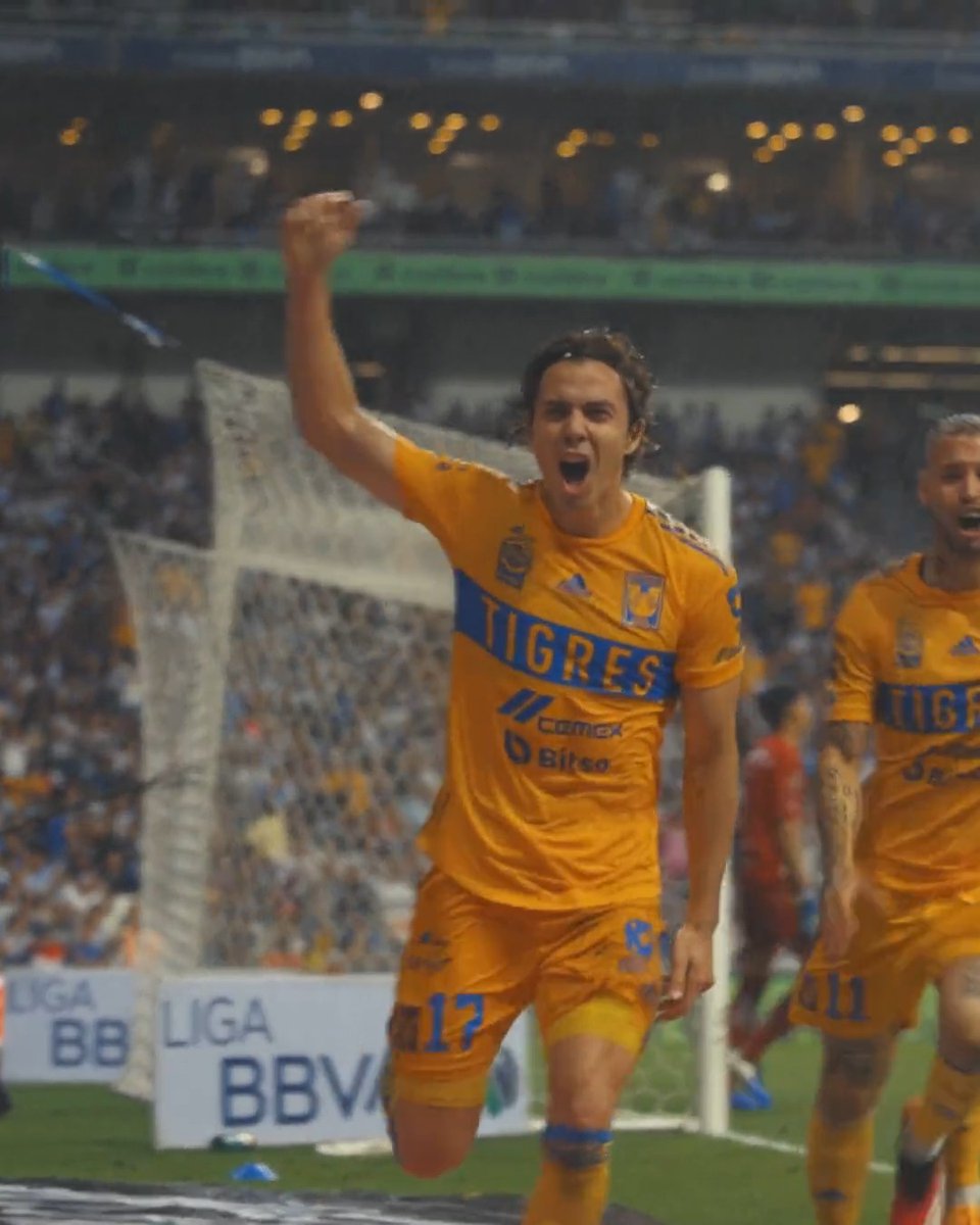 ¡Hasta el último aliento, Tigres querido!