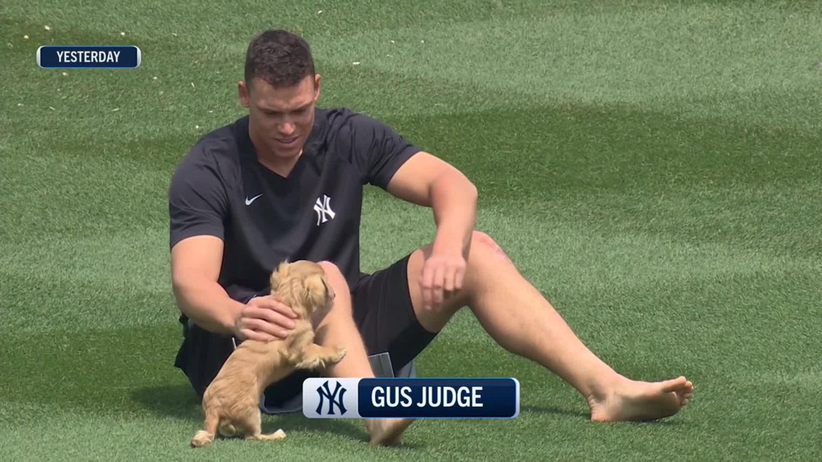 🐕 🐕 Guess who made his Yankee Stadium debut yesterday? Gus Judge‼️