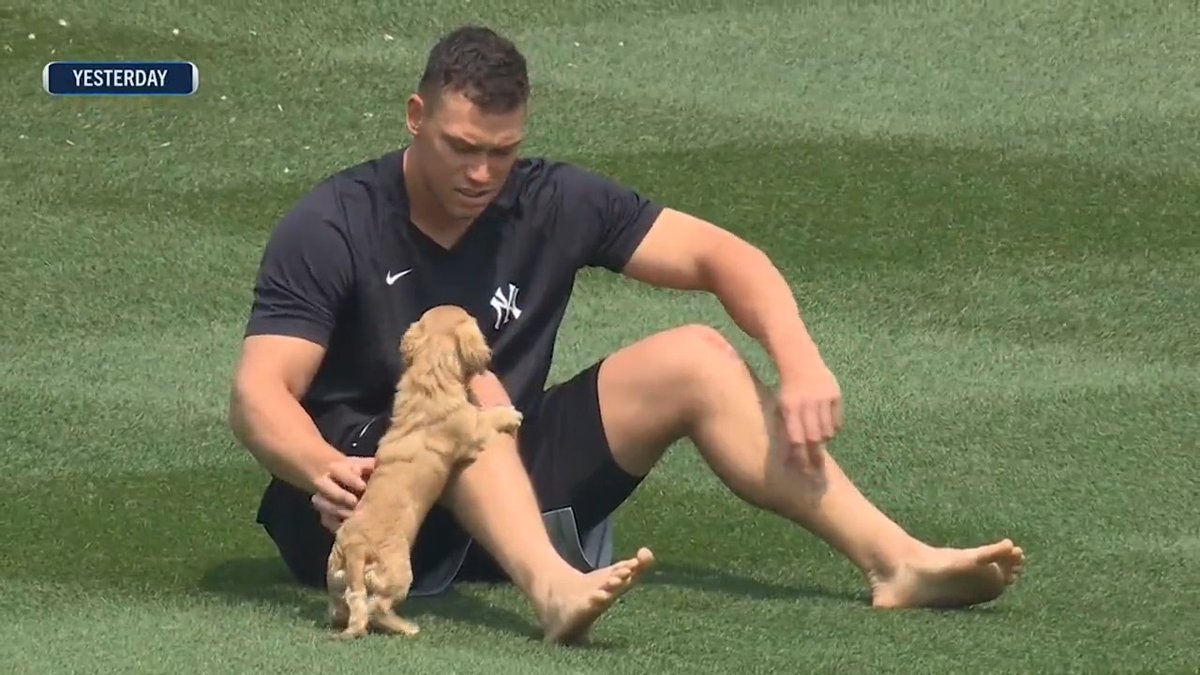 Gus Judge had a doggone great time at Yankee Stadium. 🐶