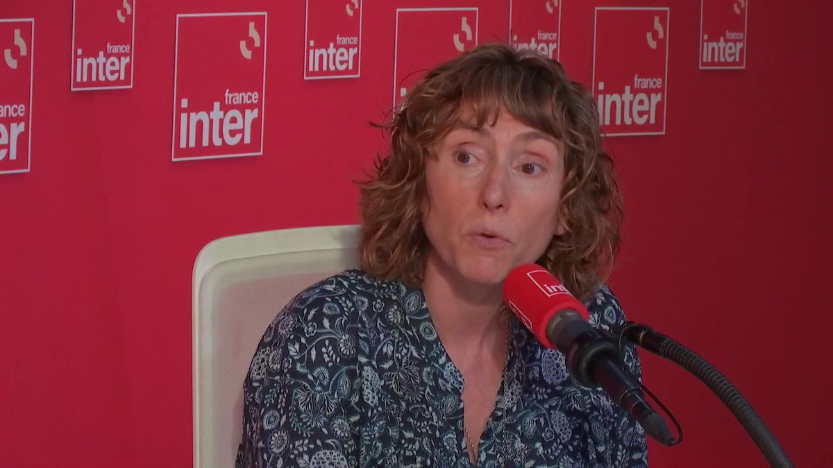 Anne Abeillé : "Il y a un mythe de l'époque où l'on écrivait à la plume et où l'on ne faisait pas de fautes. Ce qui est nouveau avec Internet, c'est que deviennent visibles des choses qui auparavant étaient dans la sphère privée." #le7930inter