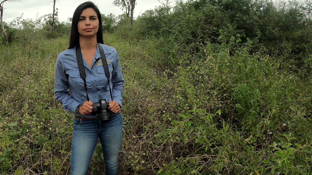 Por favor compartí ‼️ Un mensaje a los Honorables Diputados del Paraguay. 🇵🇾 #LosMedanosNoSeTocan 💚🌵 Cámara de Diputados 🆘 Nuevamente los Médanos están en sus manos con la decisión de habilitar o no habilitar la prospección y explotación de hidrocarburos en todo el parque nacional🌵. Por eso aquí les dejamos un pedido especial🙏🏻