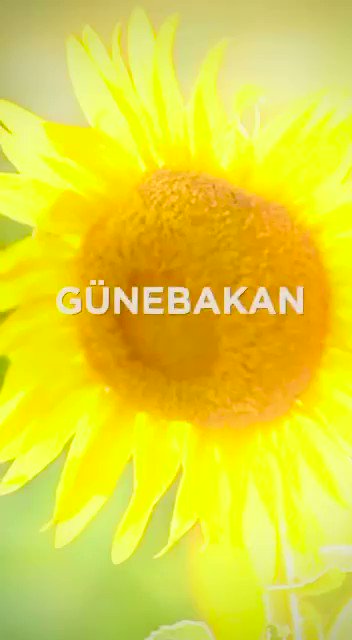 Çok güzelmiş, paylaşalım