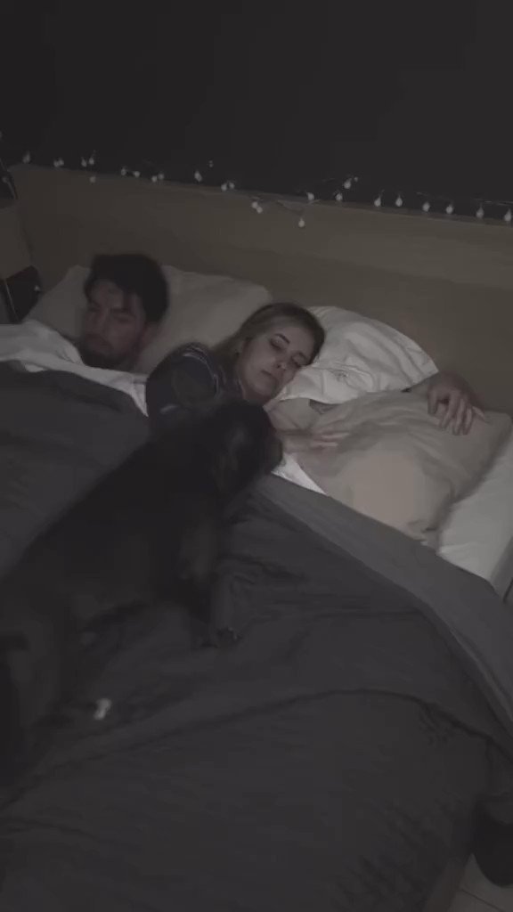 não tem nada melhor do que dormir assim com seu pet 🥰