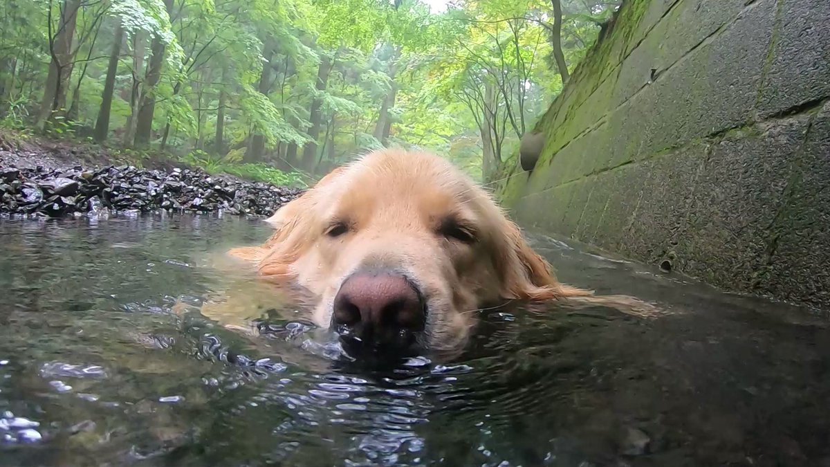 本日のお浸かり 皆さま、本日もおつかりさまです