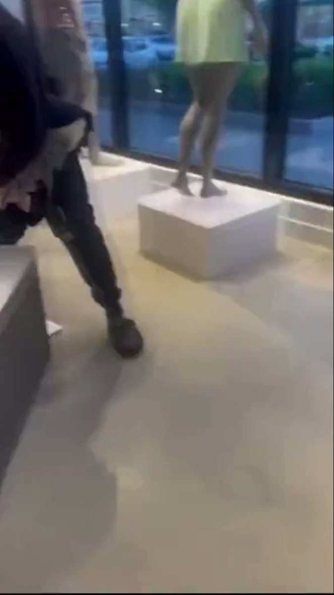 Lululemon fired two female employees for confronting shoplifters who were ransacking their Peachtree Corners, Atlanta store and calling the police on them.