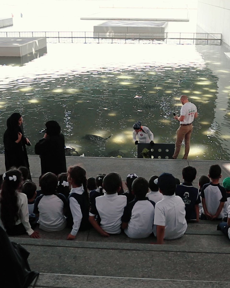 We were thrilled to host the incredible The National Aquarium Abu Dhabi - Al Qana team at #LouvreAbuDhabi, where they delivered an engaging talk about the turtle rehabilitation area and a live feeding demonstration! 🐢 Don't miss the chance to encounter these marvellous turtles before the end of June!
