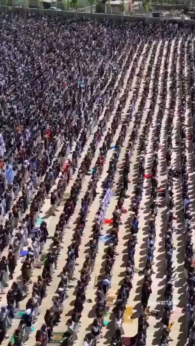 .... 🔴Erdoğan'ın zaferi üzerine; Dünya müslümanları sabah namazı sonrası şükür namazı kıldı. 📣Sanırım biz HALİFE seçtik.♥️♥️ Cumhurbaşkanı Erdoğan/ halk/ Fransa/portakal/ züğürt/ iyi parti/ Devlet Bahçeli/ güle/ peygamber efendimizin/ umrumda/değişim/ Ahsen/ portakal.