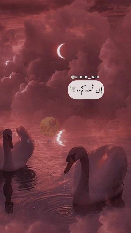 #وعي إلى احدكم "لاتقلق" فهنالك من يحبك سيظهر في الزمان المناسب والمكان "لاتهتم" فكل شيء بأوان و الحب بذرة من الرحمن لن تزهر قبل نيسان الهدايا العاطفية تأتينا بهدوء وتزامن وليس لك عليها"سلطان" الله يعلم متى ستزهر الله أعلم بسعادتك الله قريب منك ويحبك 🕊𝑼𝒓𝒂𝒏𝒖𝒔💜𝑯𝒂𝒏𝒊🕊