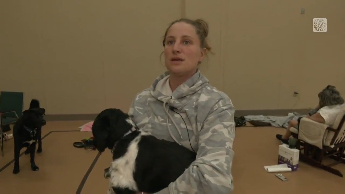 Dog trainer Lisa Parsons ran from Larry Uteck to Pampered Paws Inn to rescue 18 dogs amid a wildfire evacuation order after being told, "If they're humans, we have buses. If they're dogs, it is what it is." #NSFire #TantallonFire